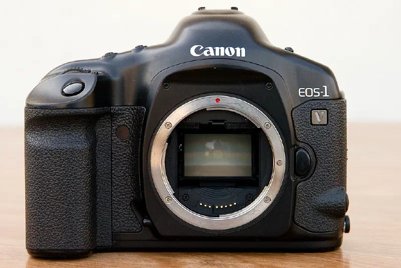 Canon EOS-1V, photographed on its own
