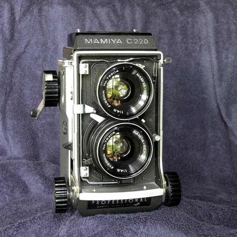DANYvanvee