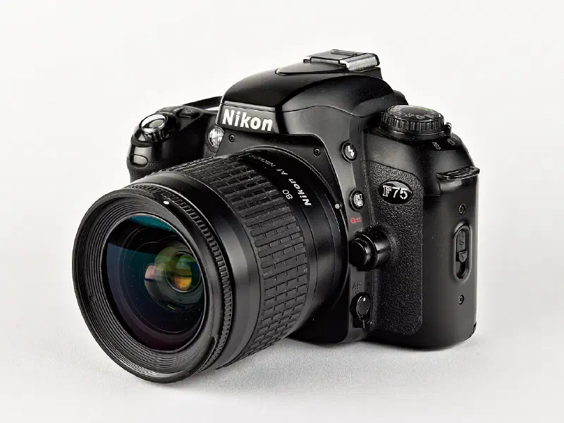 Nikon F75, photographed on its own