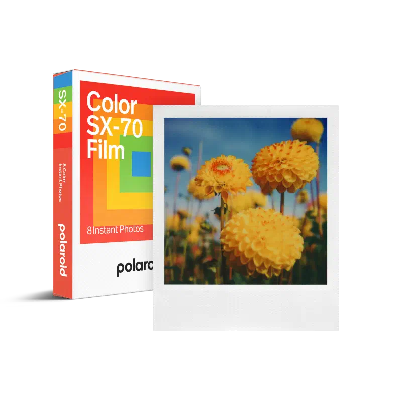 A white Polaroid Color SX-70 Film box seen from a front corner, its rainbow stripe across the face and 8 Instant Photos at the foot, a developed picture of yellow dahlias leaning against it