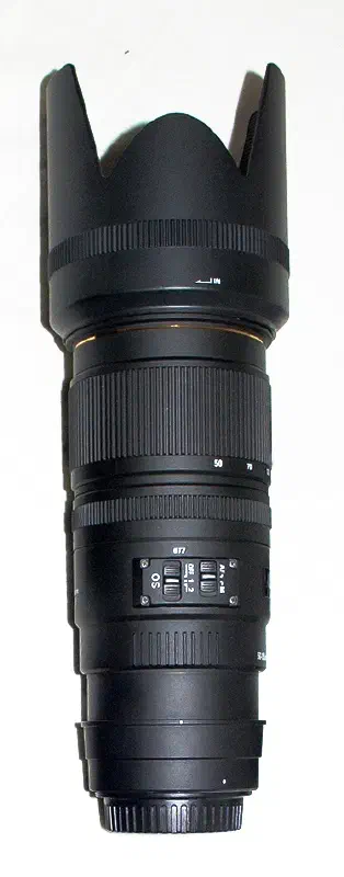 Sigma 50–150mm APO f/2.8 EX DC II, photographed on its own, off the camera